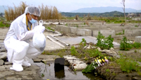 Nuclear Nation —Fukushima Refugees