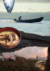 DASHI—Secrets of Japanese Cuisine's Umami